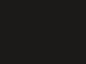 Mazda All Models Onyx Brown Metallic 1977 N2