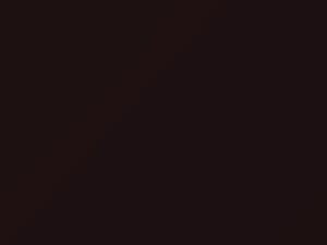 Nissan All Models Dark Red Purple Pearl 1995 LN0 - Scratch Repair