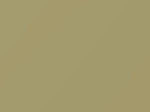 Nissan All Models Beige 1976 218 - Scratch Repair