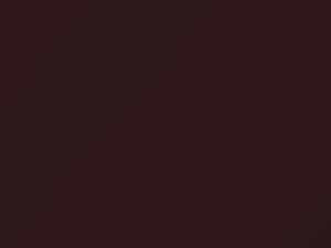 Nissan All Models Wine Metallic 1983 32