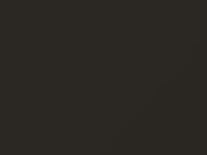 Mitsubishi All Models Hudson Silver Metallic 1978 H96