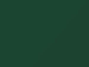 Mercedes-Benz Truck Patinagruen 1980 6204