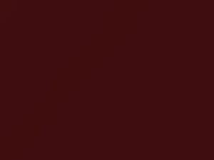Volkswagen All Models Bright Red Pearl 2002 7P