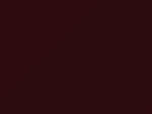 Toyota All Models Vermillion Fire Metallic 1998 3CB