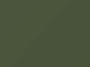 Toyota All Models Altair Green Metallic 1979 601