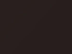 Saab All Models Magentabrun Metallic 1989 212 - Scratch Repair