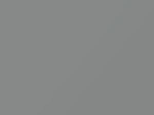 Saab All Models Silver Metallic 1981 172