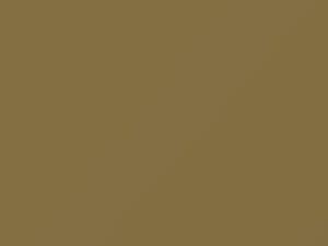 Nissan All Models Light Gold Pearl 1990 EJ0 - Scratch Repair