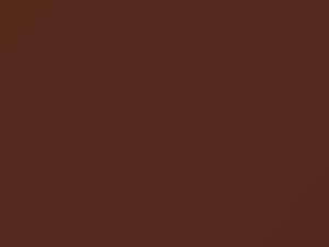 BMW All Models Topasbraun Metallic 1982 30 - Scratch Repair