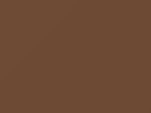 Nissan All Models Beige Metallic 1978 519 - Scratch Repair