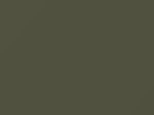 Mitsubishi All Models Pyrenees Green Metallic 1981 L11