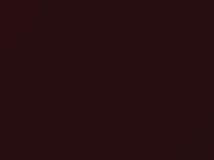 Ford All Models Bright Currant Red Metallic 1990 5Q, 6455