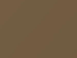 Fiat All Models Champagne Metallic 1979 577 - Scratch Repair