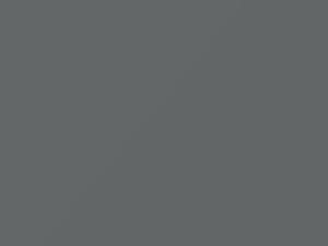 Fiat All Models Grigio Bristol 1974 621