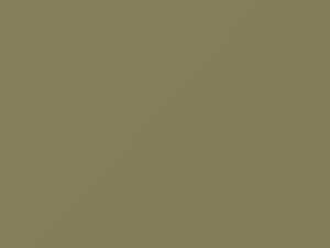 Kia Sportage Champagne Green Metallic 2004 G5