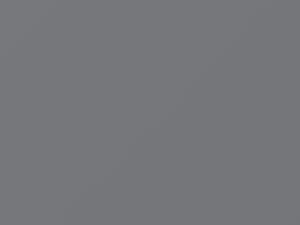 Fiat All Models Grigio Reflex Metallic 2007 640B
