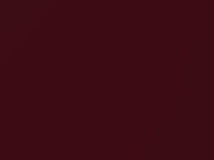 Toyota All Models Wine Red Pearl 1998 3L4