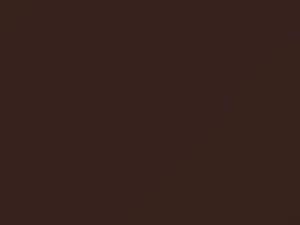 Toyota All Models Copper Metallic 1975 338