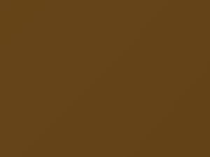 Toyota All Models Bronze Metallic 1973 520