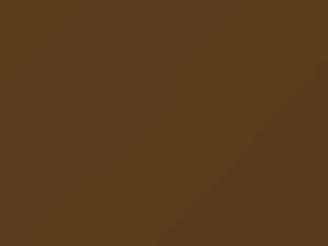 Ford All Models Medium Tan Metallic 1979 8J