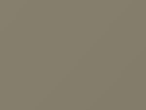 Daewoo All Models Beige Gold Metallic 1996 69E