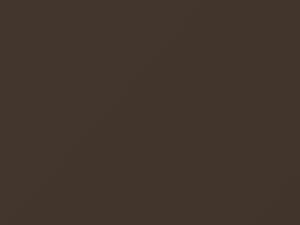 Nissan All Models Brown Metallic 1992 CG0
