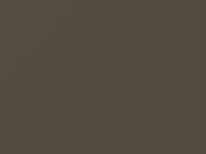 Nissan All Models Brownish Gray Metallic 1985 331