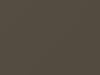 Nissan All Models Brownish Gray Metallic 1985 331