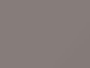 Nissan All Models Brownish Silver Metallic 1989 210 - Scratch Repair