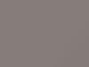 Nissan All Models Brownish Silver Metallic 1983 210