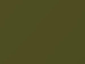 Mitsubishi All Models Yellow Green Metallic 1978 L06