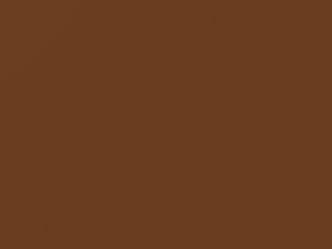 Nissan All Models Gold Metallic 1973 26 - Scratch Repair