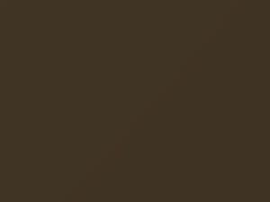 BMW All Models Brasilbraun Metallic 1983 154 - Scratch Repair