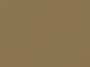 Ford All Models Inca Gold Metallic 2011 XSC1203