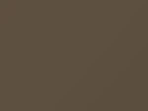 Ford All Models Cypress Gold Frost Mica 1997 6750 - Scratch Repair