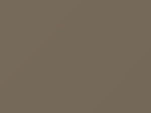 Ford All Models Light Sandalwood Metallic 1991 6253