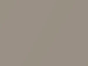 Chevrolet All Models Cashmere Beige Metallic 1996 92L - Scratch Repair