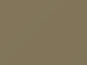 Volkswagen All Models Savannabeige Metallic 1986 LH1V