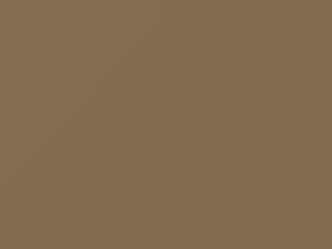 Porsche All Models Luxorbeige Metallic 2009 M1T