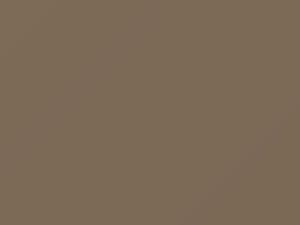 Chrysler All Models Light Taupe Metallic 1989 L3