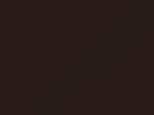 Nissan All Models Dark Reddish Brown Metallic 1985 447