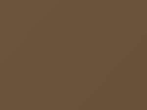 Nissan All Models Gold Metallic 1982 120 - Scratch Repair