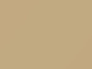 BMW All Models Safaribeige 1982 147 - Scratch Repair