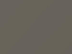 Ford All Models Titanium Frost Pearl 1989 4Y - Scratch Repair