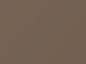 Nissan All Models Reddish Beige Metallic 1987 225 - Scratch Repair