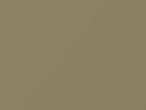 Fiat All Models Beige 1971 583 - Scratch Repair