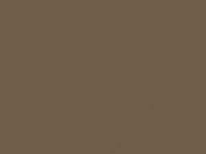 Fiat All Models Bronze Metallic 1979 794 - Scratch Repair