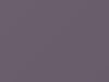 Nissan All Models Purplish Silver Metallic 2011 KAS