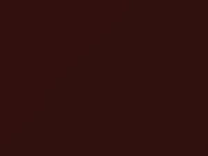 Nissan All Models Red Pearl 1990 723