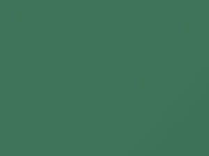 Nissan All Models Green Pearl 1997 DN2